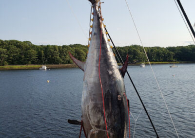 Veteran Angler Charters fishing trip