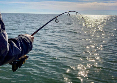 Veteran Angler Charters fishing trip